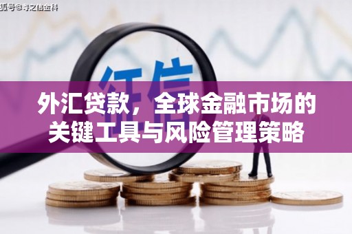 乐都外汇贷款，全球金融市场的关键工具与风险管理策略
