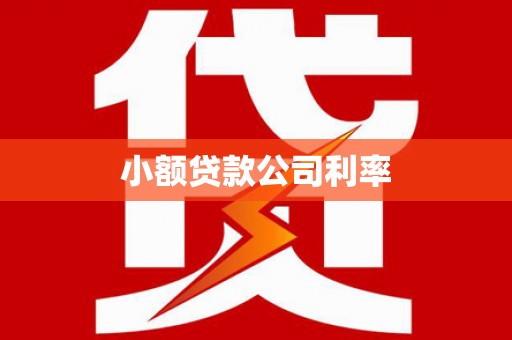 乐都小额贷款公司利率