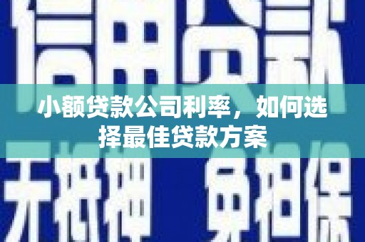 乐都小额贷款公司利率，如何选择最佳贷款方案