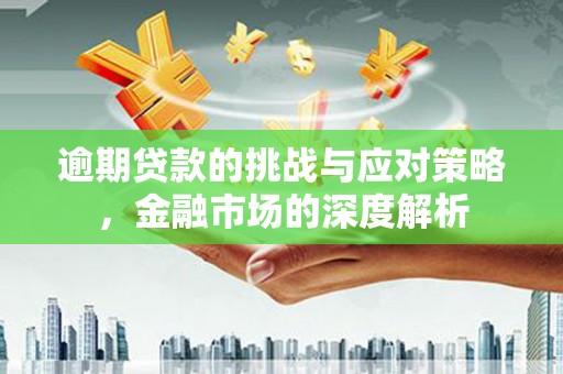 乐都逾期贷款的挑战与应对策略，金融市场的深度解析
