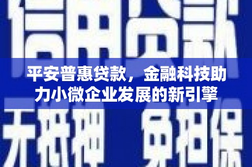 乐都平安普惠贷款，金融科技助力小微企业发展的新引擎