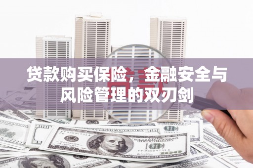乐都贷款购买保险，金融安全与风险管理的双刃剑