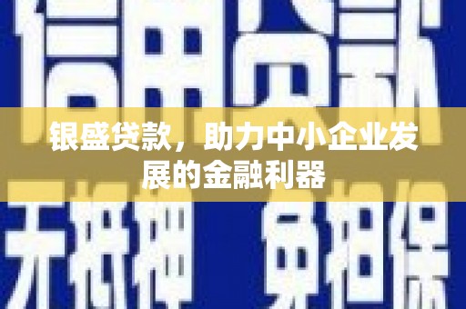 乐都银盛贷款，助力中小企业发展的金融利器