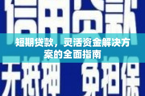 乐都短期贷款，灵活资金解决方案的全面指南