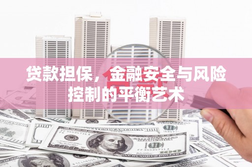 乐都贷款担保，金融安全与风险控制的平衡艺术
