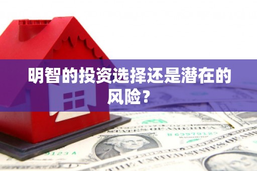 乐都明智的投资选择还是潜在的风险？