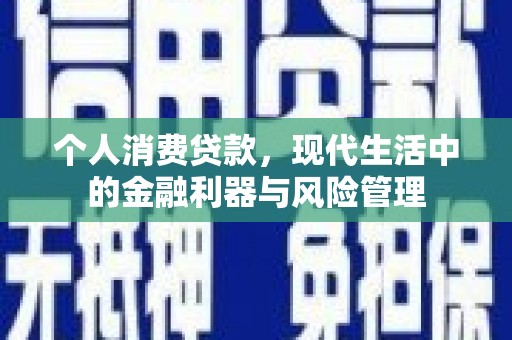 乐都个人消费贷款，现代生活中的金融利器与风险管理