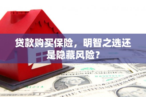 乐都贷款购买保险，明智之选还是隐藏风险？