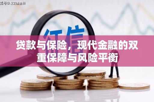 乐都贷款与保险，现代金融的双重保障与风险平衡