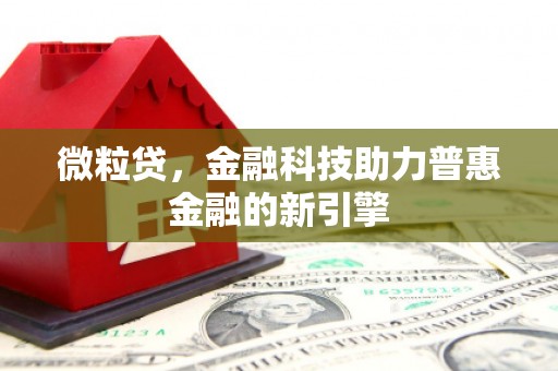 乐都微粒贷，金融科技助力普惠金融的新引擎