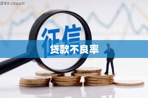 乐都贷款不良率