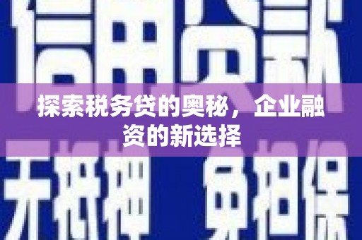 乐都探索税务贷的奥秘，企业融资的新选择