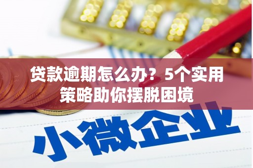 乐都贷款逾期怎么办？5个实用策略助你摆脱困境