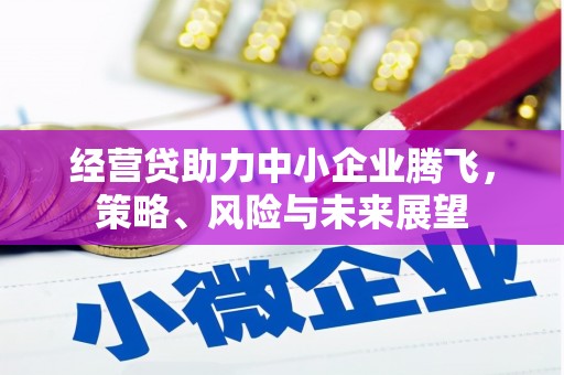 乐都经营贷助力中小企业腾飞，策略、风险与未来展望