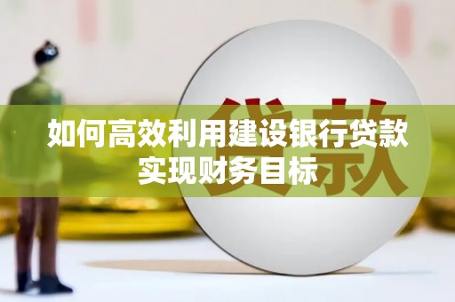 乐都如何高效利用建设银行贷款实现财务目标