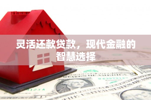 乐都灵活还款贷款，现代金融的智慧选择