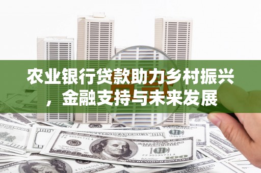 乐都农业银行贷款助力乡村振兴，金融支持与未来发展