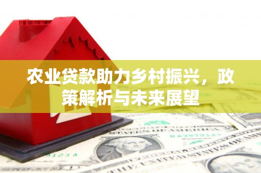 乐都农业贷款助力乡村振兴，政策解析与未来展望