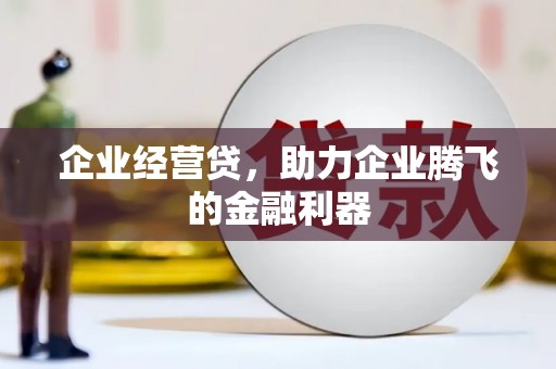 乐都企业经营贷，助力企业腾飞的金融利器
