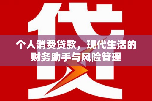 乐都个人消费贷款，现代生活的财务助手与风险管理
