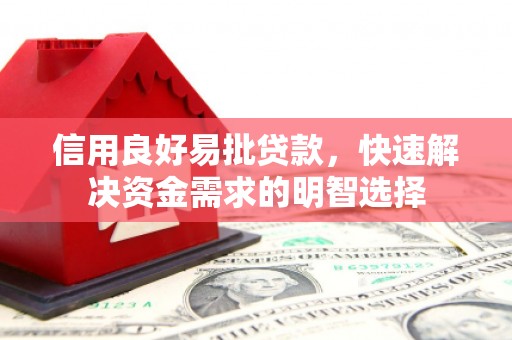 乐都信用良好易批贷款，快速解决资金需求的明智选择