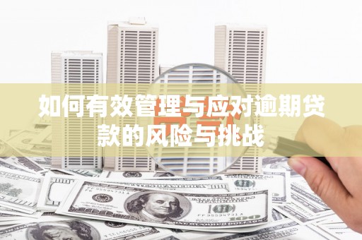 乐都如何有效管理与应对逾期贷款的风险与挑战