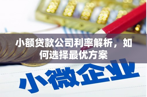 乐都小额贷款公司利率解析，如何选择最优方案