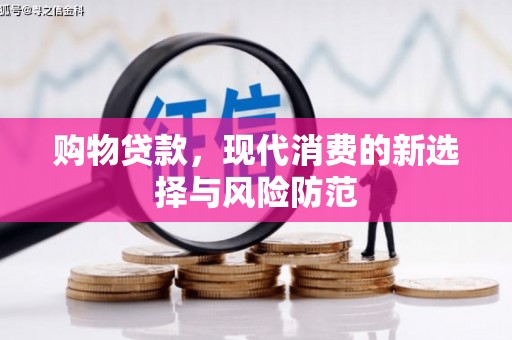 乐都购物贷款，现代消费的新选择与风险防范