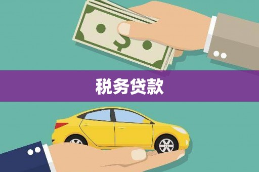 乐都税务贷款