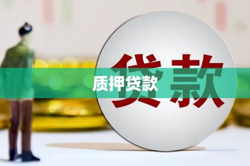 乐都质押贷款