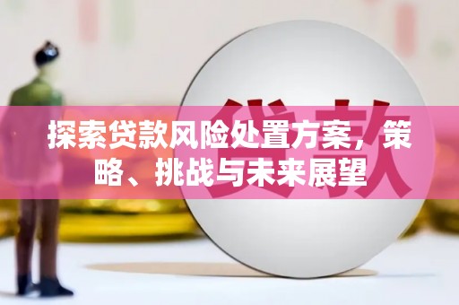乐都探索贷款风险处置方案，策略、挑战与未来展望