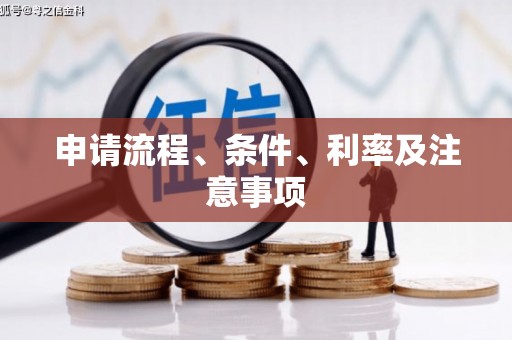 乐都申请流程、条件、利率及注意事项