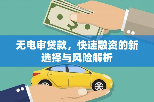 乐都无电审贷款，快速融资的新选择与风险解析