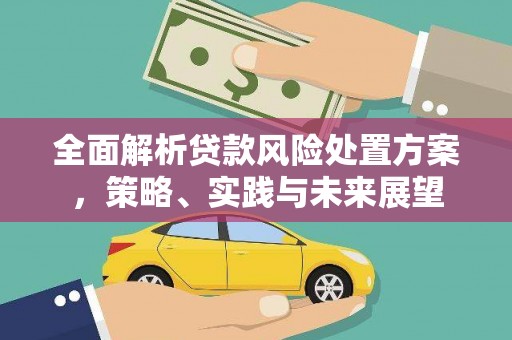 乐都全面解析贷款风险处置方案，策略、实践与未来展望