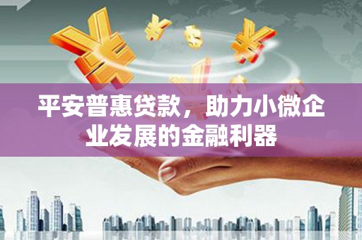 乐都平安普惠贷款，助力小微企业发展的金融利器