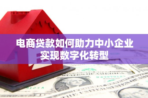 乐都电商贷款如何助力中小企业实现数字化转型