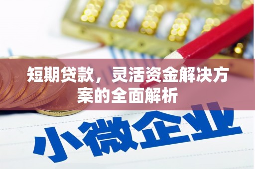 乐都短期贷款，灵活资金解决方案的全面解析