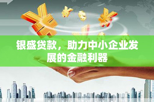 乐都银盛贷款，助力中小企业发展的金融利器