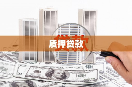 乐都质押贷款