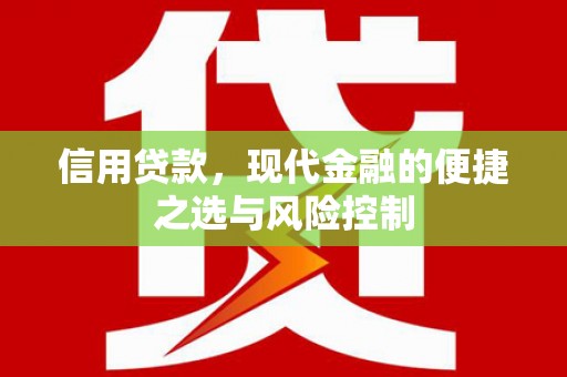 乐都信用贷款，现代金融的便捷之选与风险控制