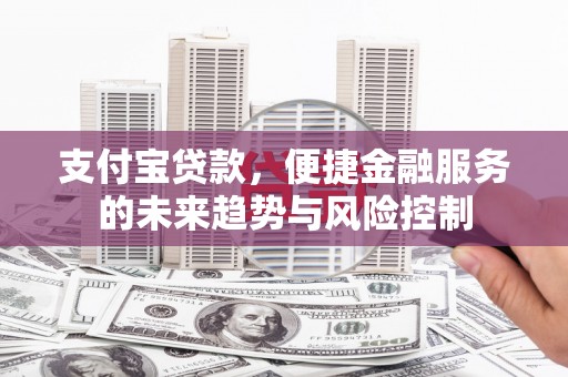 乐都支付宝贷款，便捷金融服务的未来趋势与风险控制