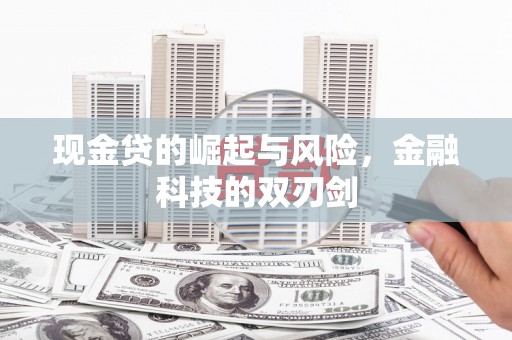 乐都现金贷的崛起与风险，金融科技的双刃剑