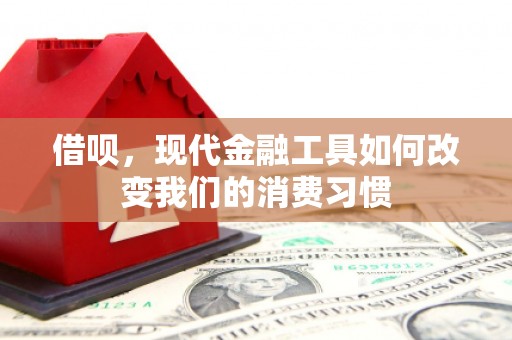 乐都借呗，现代金融工具如何改变我们的消费习惯