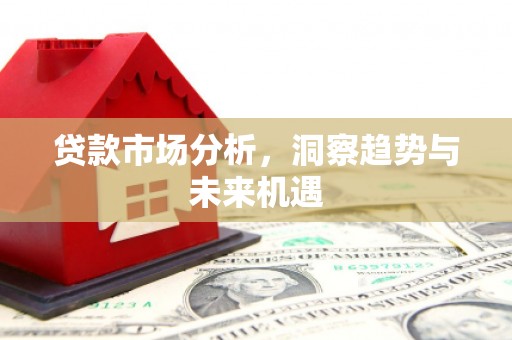 乐都贷款市场分析，洞察趋势与未来机遇
