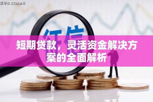 乐都短期贷款，灵活资金解决方案的全面解析