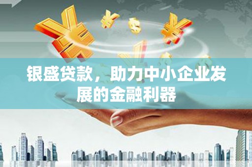乐都银盛贷款，助力中小企业发展的金融利器
