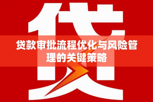 乐都贷款审批流程优化与风险管理的关键策略