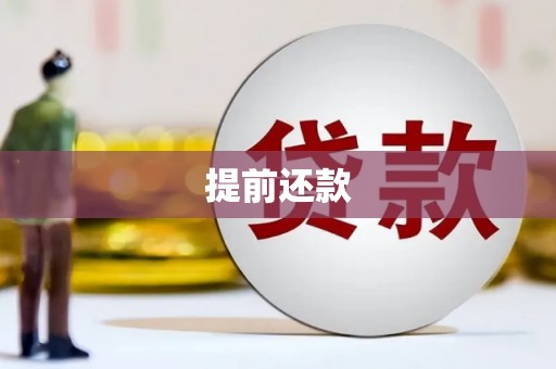 乐都提前还款