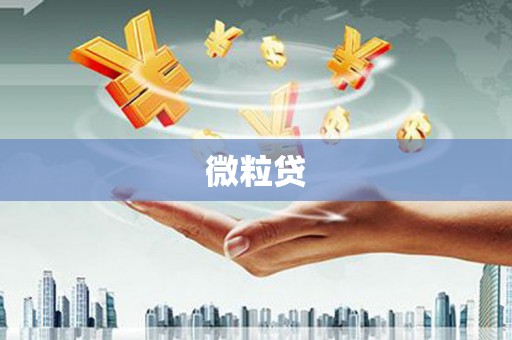 乐都微粒贷
