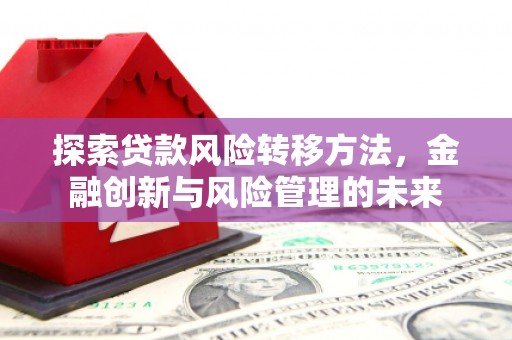 乐都探索贷款风险转移方法，金融创新与风险管理的未来
